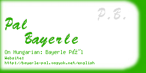 pal bayerle business card